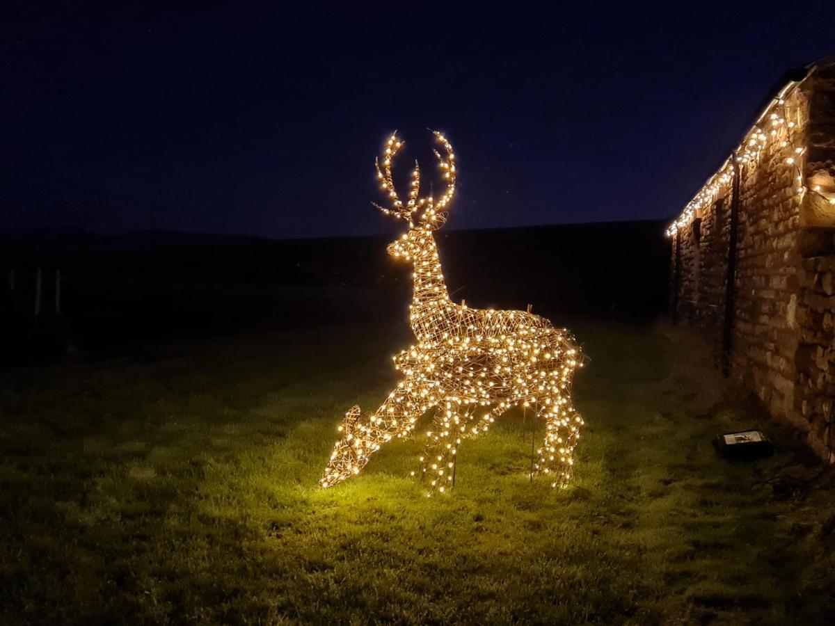 Keld Barn, Low Ploughlands Holiday Lets 커크비 스티븐 외부 사진