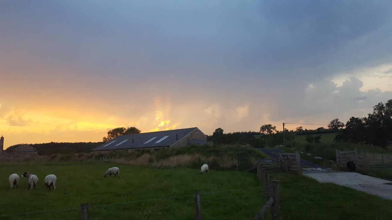 Keld Barn, Low Ploughlands Holiday Lets 커크비 스티븐 외부 사진
